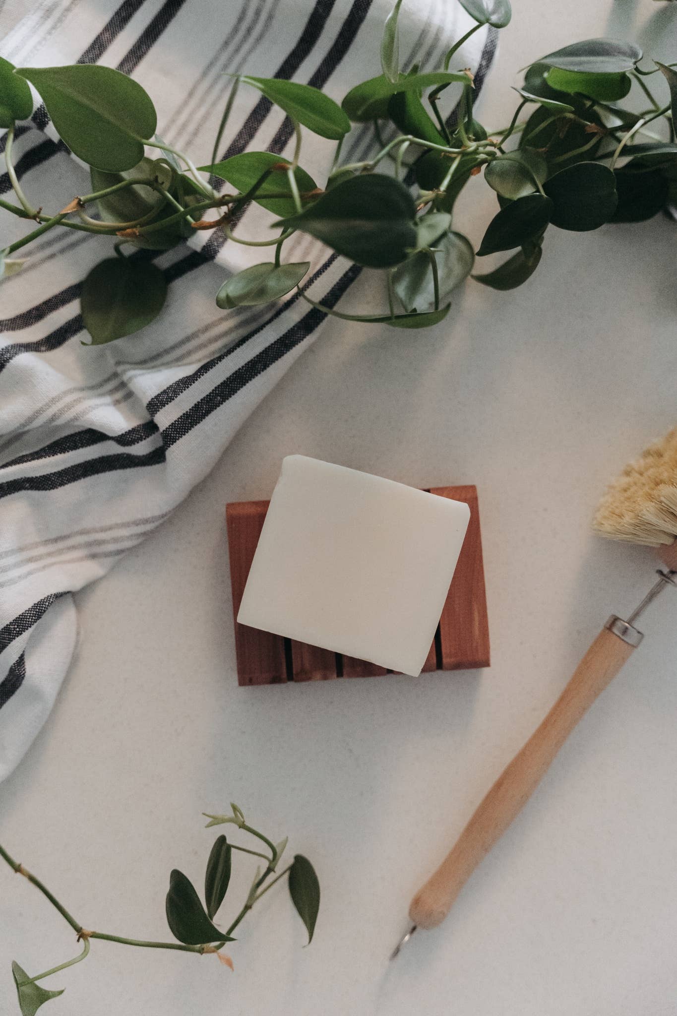 Solid Dish Soap Bar | Bergamot + Lime | Vegan & Organic