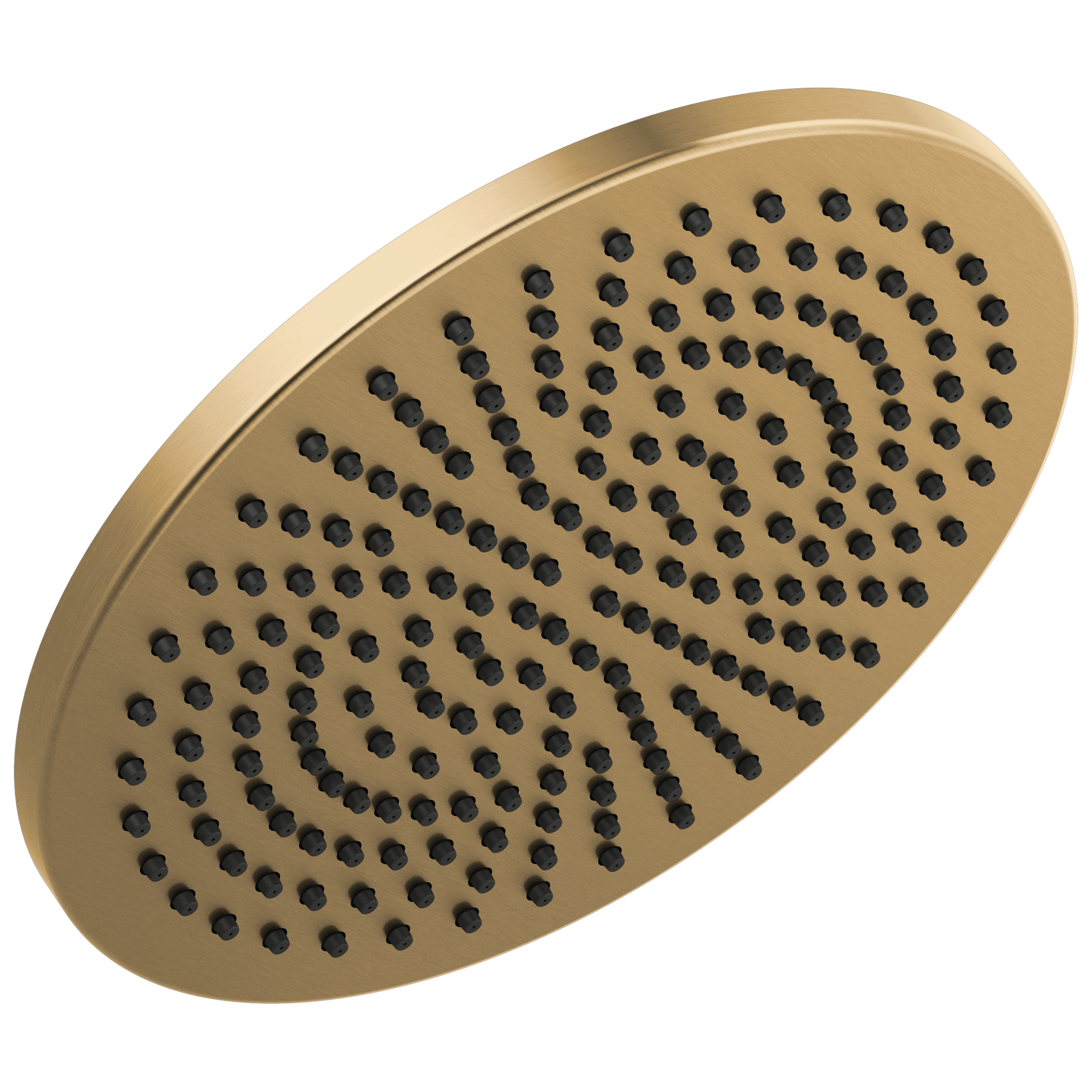 Raincan Shower Head