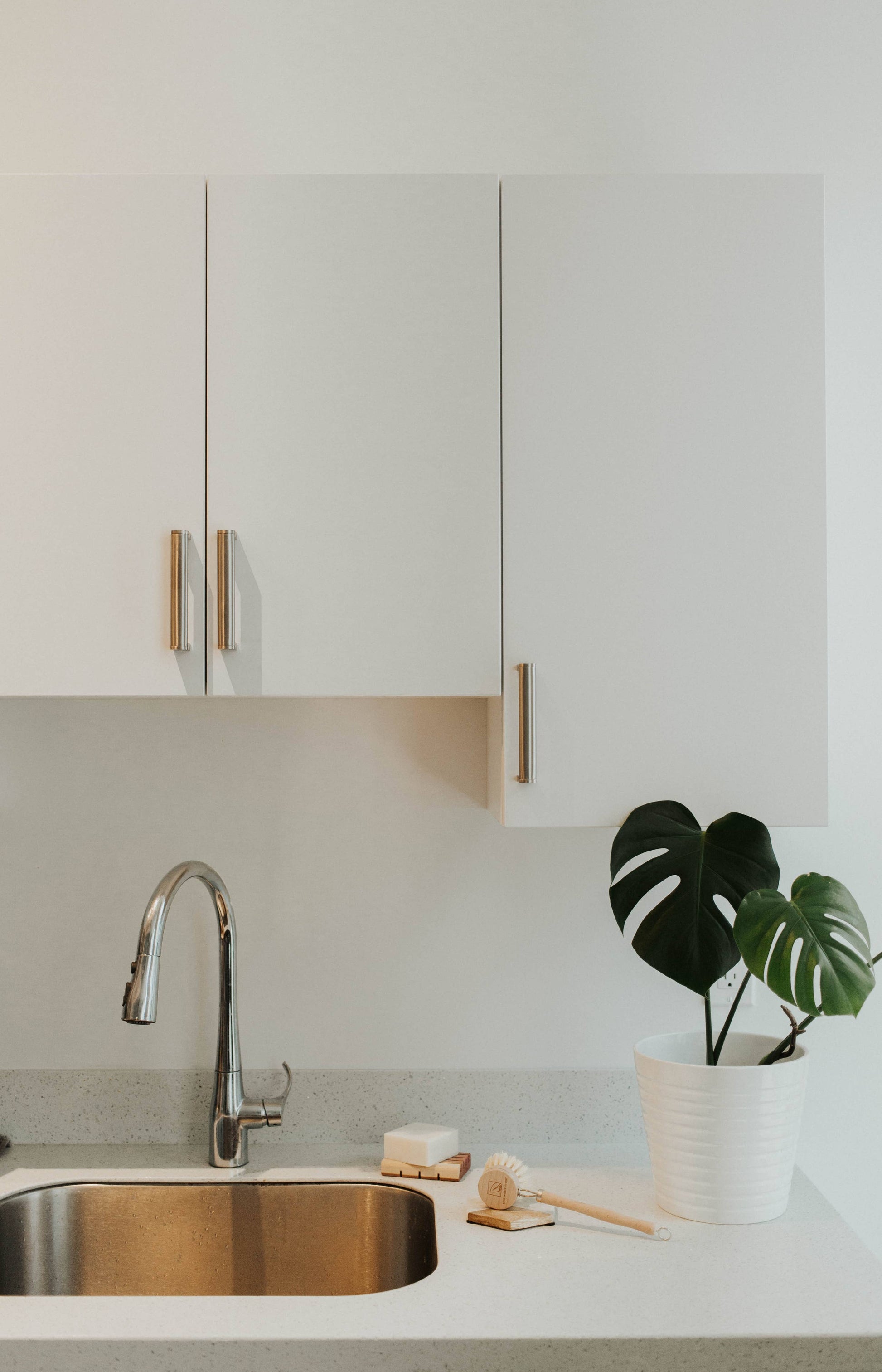 Solid Dish Soap Bar | Bergamot + Lime | Vegan & Organic