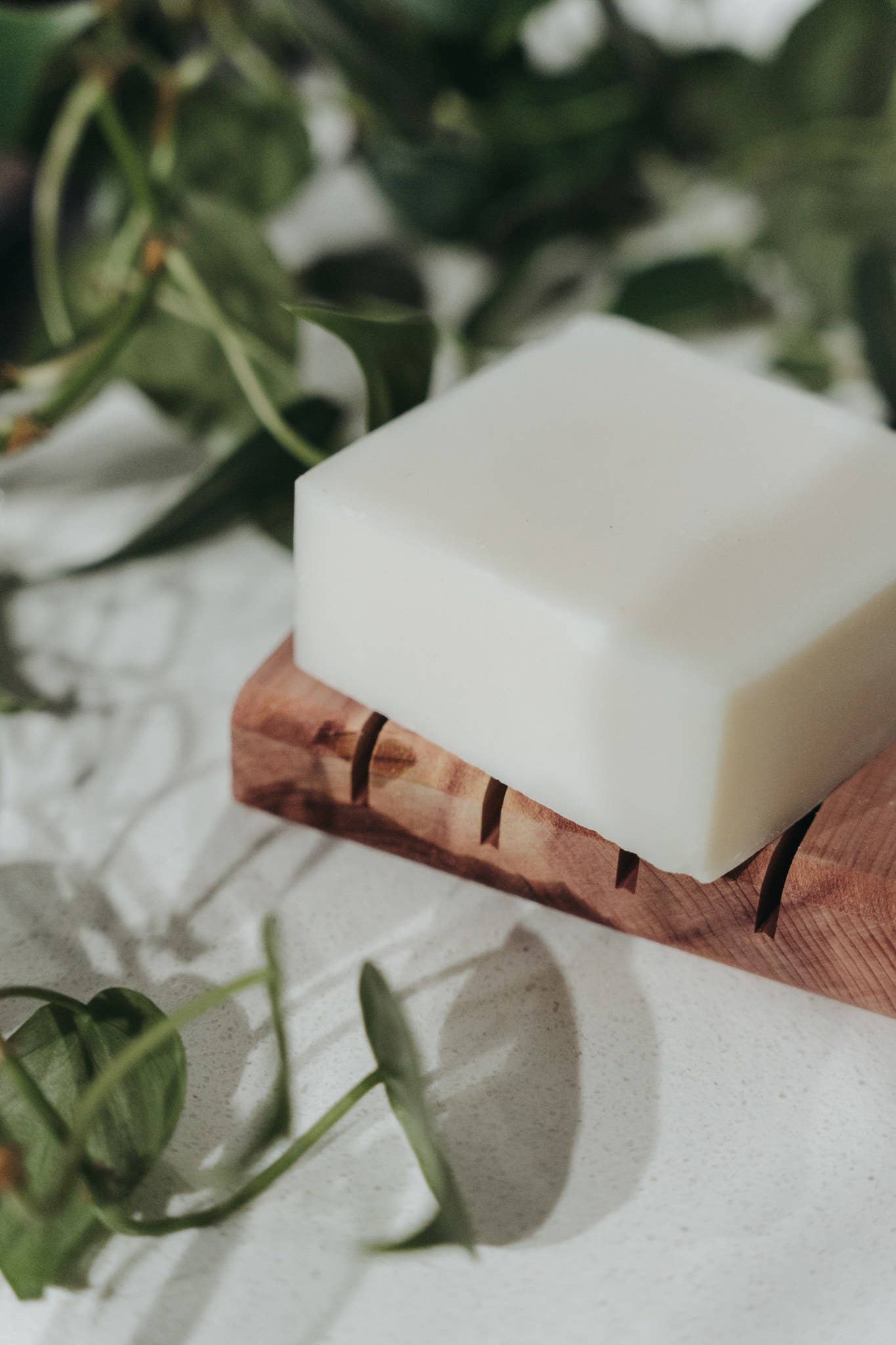 Solid Dish Soap Bar | Bergamot + Lime | Vegan & Organic