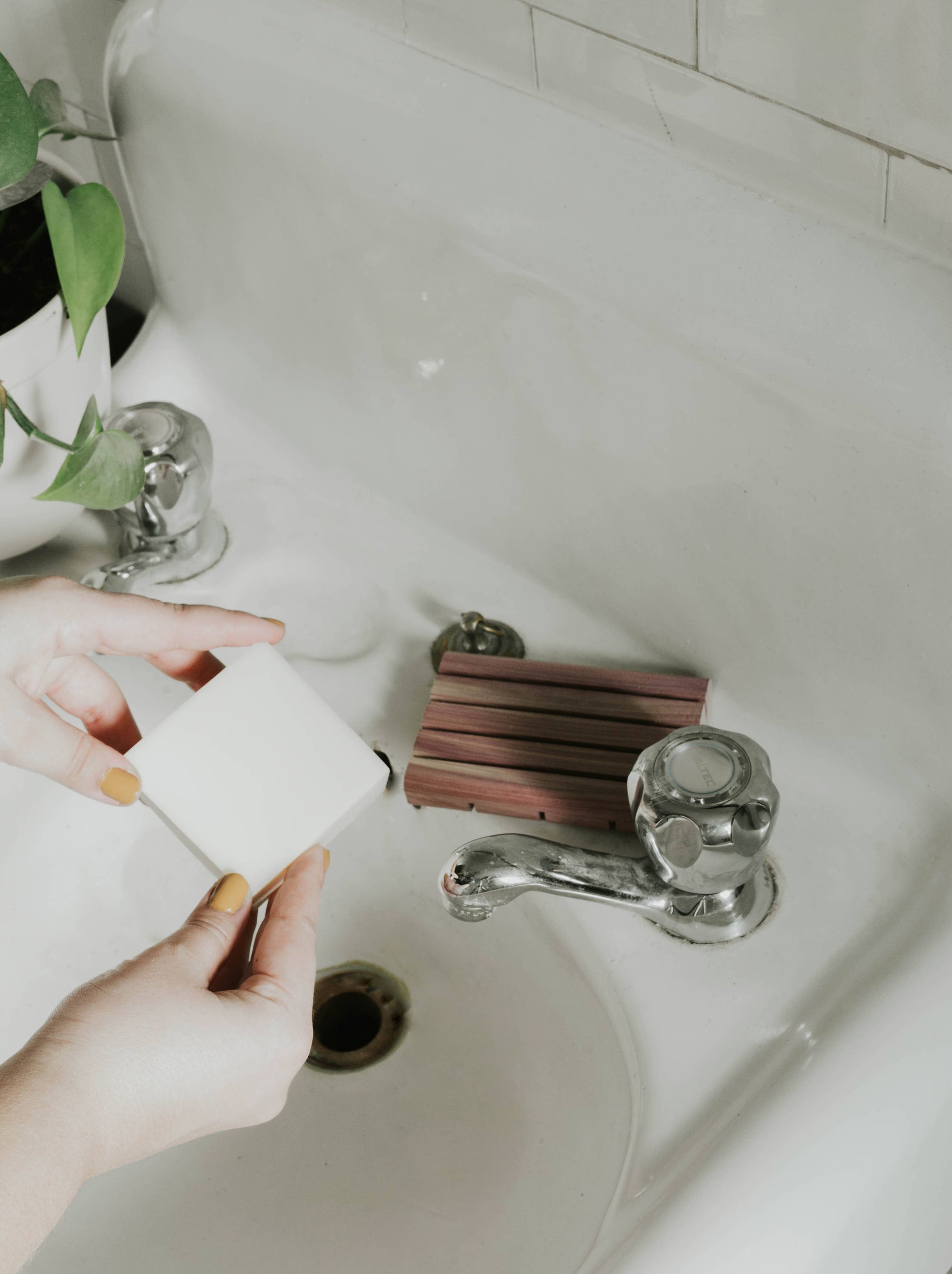 Solid Dish Soap Bar | Bergamot + Lime | Vegan & Organic